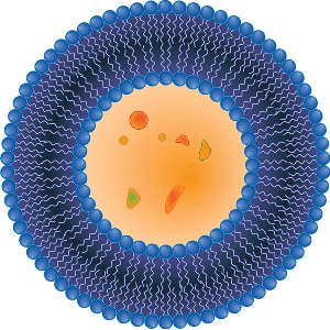 Nanoparticle Drug Delivery