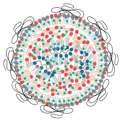 Nanoparticles