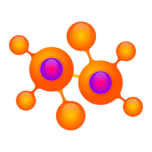 Nucleic Acid Peptide-Based Therapies
