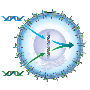 Custom Drug Development
